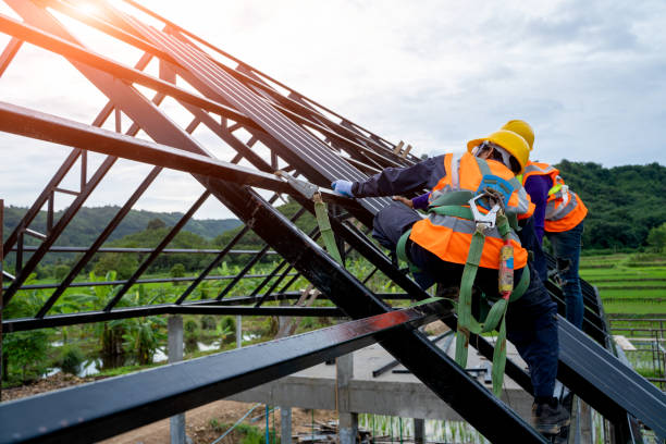 Best Roof Maintenance Services  in Bridgeport, MI