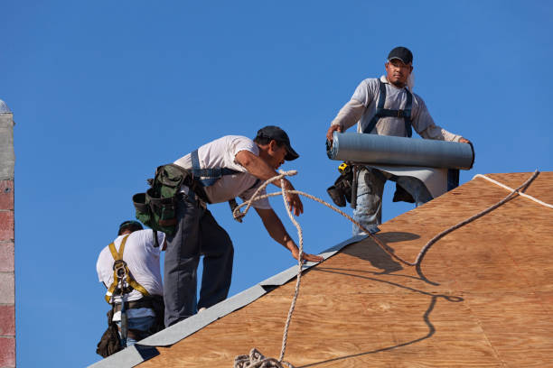 Best Metal Roofing Contractor  in Bridgeport, MI